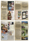 2015: Four-Page Advert for US Journal