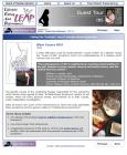 2003: Website "NowLeap" sample 1