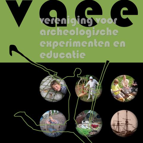 poster 2008 vaee