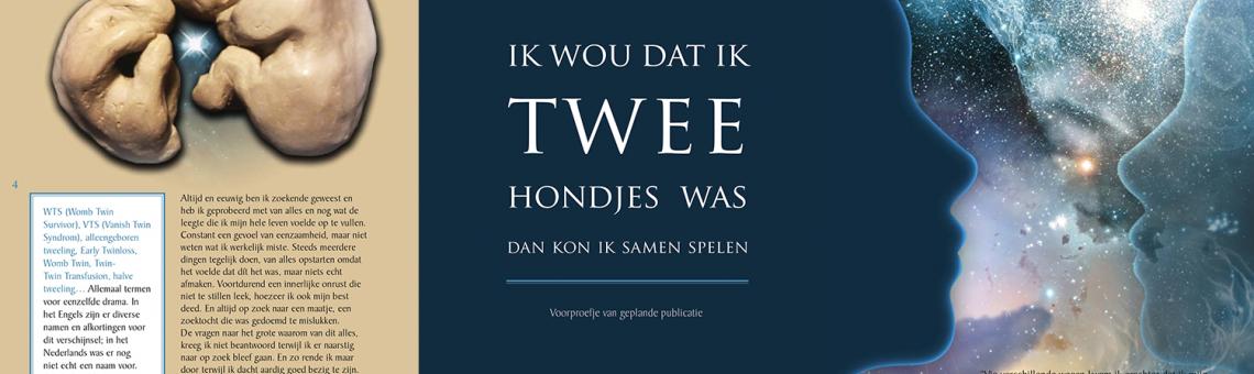 book teaser
