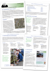 2018: The plan for the neighborhood, final PDF